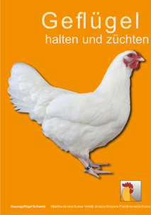 Geflügel halten und züchten