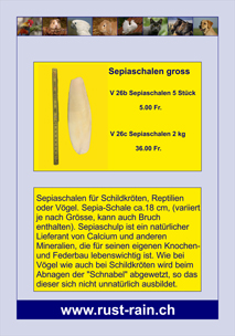 Grosse Sepiaschalen