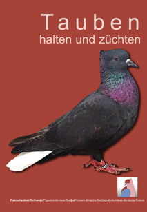 Tauben halten und züchten
