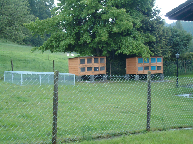 kaninchenstall_7